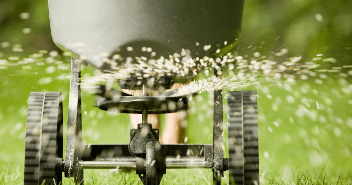 Rasen richtig dngen - FUXTEC Gartenratgeber