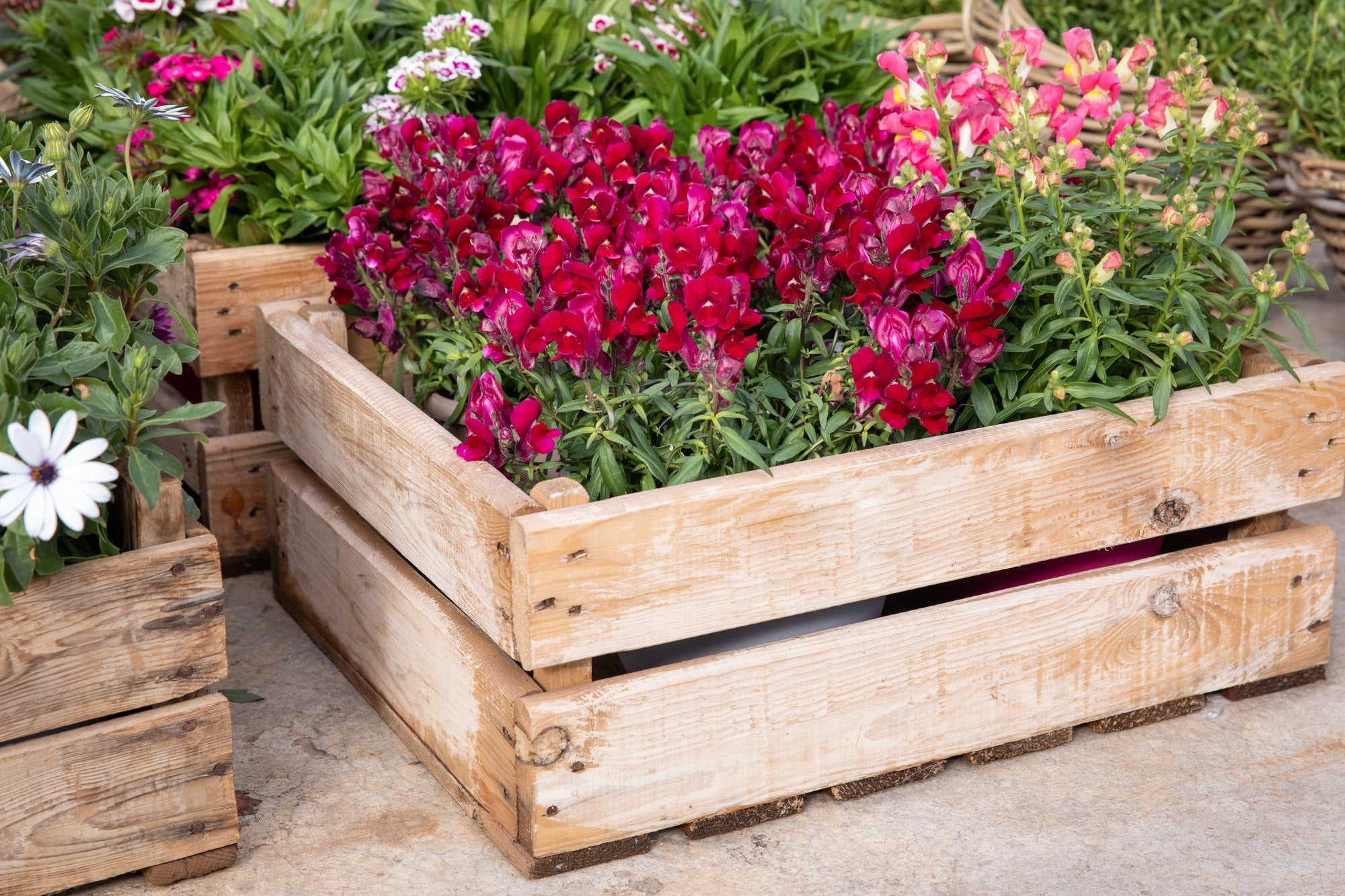 Blumenkasten Bewasserungssystem Selber Bauen
