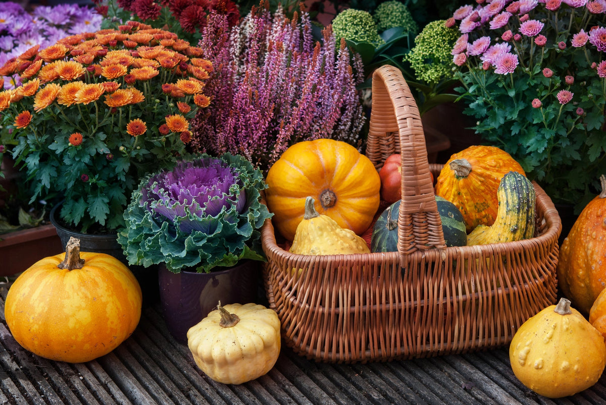 tedi gartendeko **ES IST GARTENZEIT** Große Türkränze online kaufen main image 1