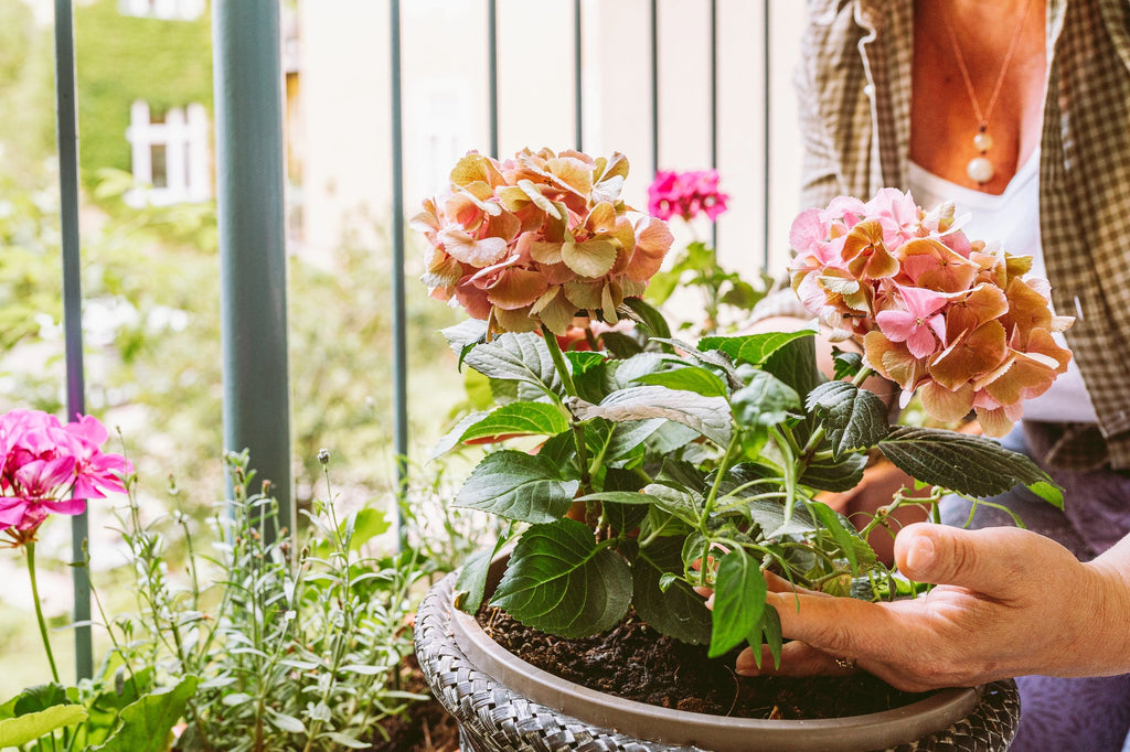 Blumenkasten bepflanzen: Balkonksten richtig gestalten und pflegen