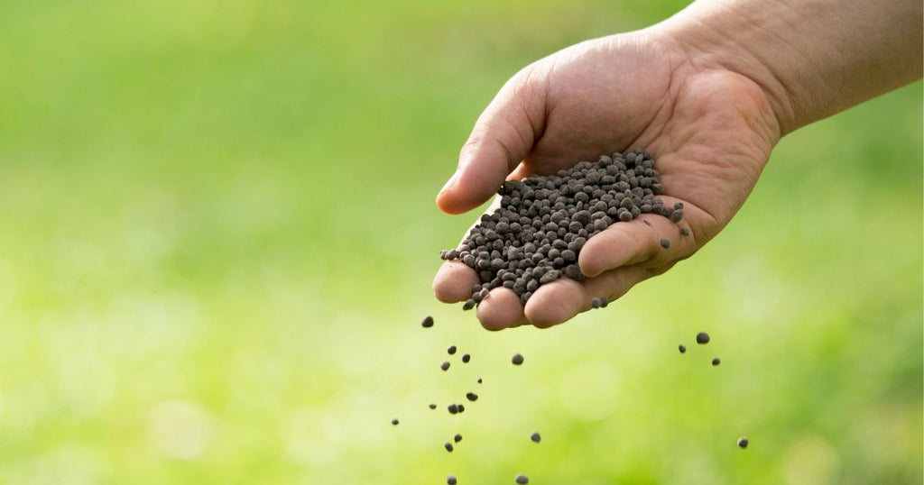 Richtig Hecken dngen - FUXTEC Gartenratgeber