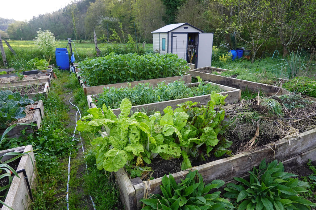 Permakultur Garten anlegen: Tipps fr Ihren Permakultur-Garten