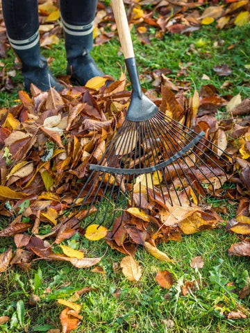 Canva-Woman-Cleaning-Dry-Leaves-768x1024_480x480.webp