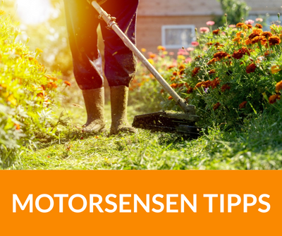 Motorsensen Tipps