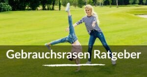Read more about the article Gebrauchsrasen Ratgeber