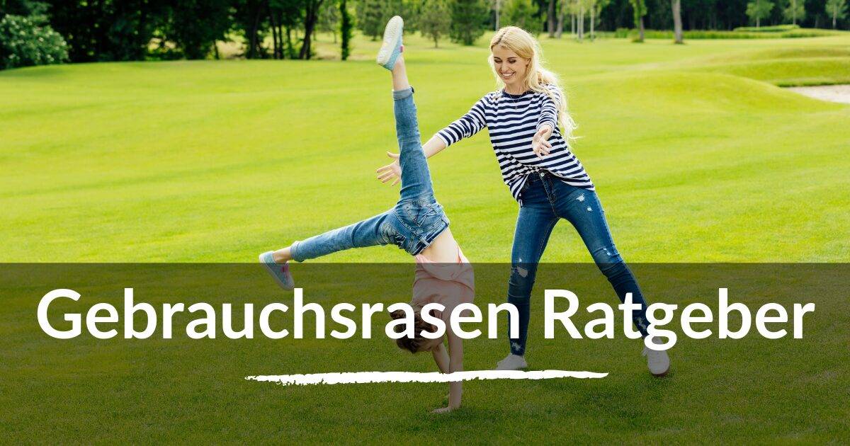 You are currently viewing Gebrauchsrasen Ratgeber