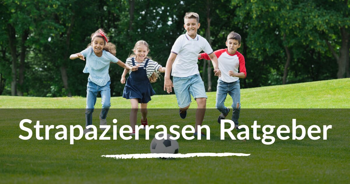 Read more about the article Strapazierrasen Ratgeber