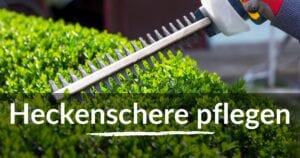 Read more about the article Heckenschere pflegen