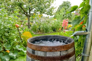 Gartenbewässerung Regentonne