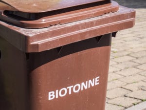 Löwenzahn entfernen Biotonne